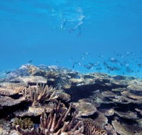 Australian Institute of Marine Science - Accommodation QLD
