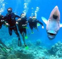 Gotham City Dive Site - Accommodation QLD