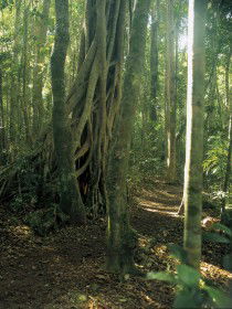  Accommodation QLD