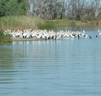 Lake Ross - Accommodation QLD