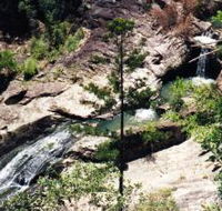 Banksia Track and the Boardwalk - Accommodation QLD