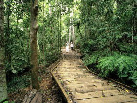 Glen Allyn QLD Accommodation QLD