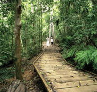 Lake Barrine Circuit Track Crater Lakes National Park - Accommodation QLD