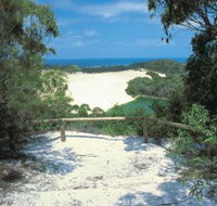 Lake Wabby Track - Accommodation QLD