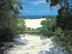 Lake Wabby Track - Accommodation QLD 0