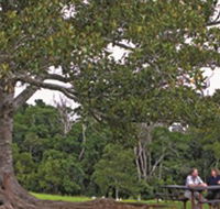 Ravensbourne National Park - Accommodation QLD