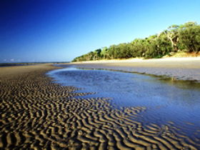 Kinkuna Section - Accommodation QLD 0