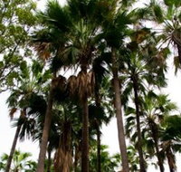 Palm Tree Creek - Accommodation QLD