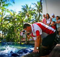 The Living Reef on Daydream Island - Accommodation QLD