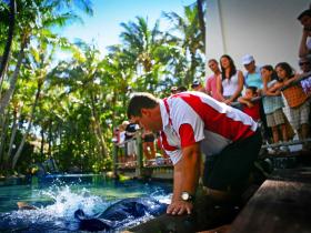 The Living Reef On Daydream Island - Accommodation QLD 0