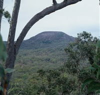 Mount Fox - Accommodation QLD