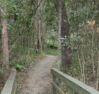 Springwood Conservation Park - Accommodation QLD