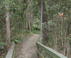 Springwood Conservation Park - Accommodation QLD 0