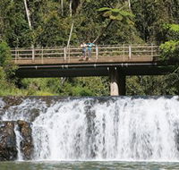 Malanda Falls Conservation Park - Accommodation QLD