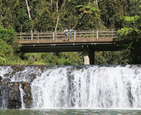Malanda Falls Conservation Park - Accommodation QLD 0