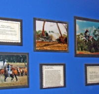 Town Hall Photographic Display - Accommodation QLD