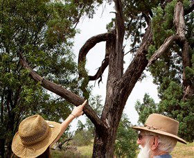 Charleville - Outback Native Timber Walk - Accommodation QLD 0