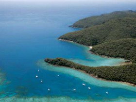 Butterfly Bay - Hook Island - Accommodation QLD 0