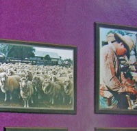 Charleville Photographic Display - Accommodation QLD