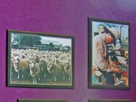 Charleville Photographic Display - Accommodation QLD 0