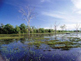 Tyto Wetlands - Accommodation QLD 0