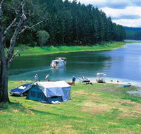 Danbulla National Park and Danbulla State Forest - Accommodation QLD
