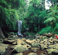 Tamborine National Park - Accommodation QLD