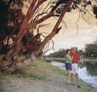 The Looking Glass - Accommodation QLD