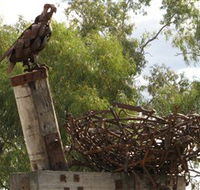 Blackall Sculpture Trail - Accommodation QLD
