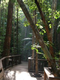 Basin Lake Track - Accommodation QLD 0