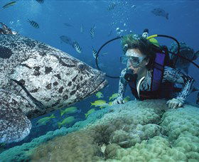 Pelorus Island - Accommodation QLD 0