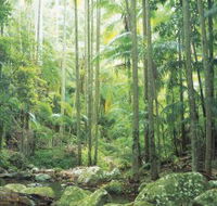 Python Rock - Accommodation QLD