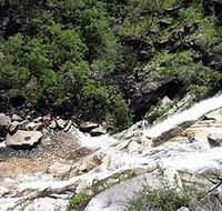 Dinden National Park - Accommodation QLD