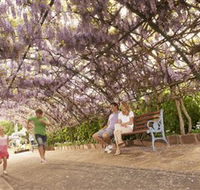 Laurel Bank Park - Accommodation QLD