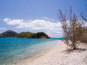 Shute Harbour QLD Accommodation QLD