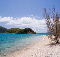 Paddle Bay Track and Campsite - Accommodation QLD