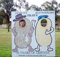 Kingaroy Lions Park - Accommodation QLD
