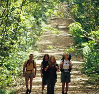 Wet Tropics Great Walk - Accommodation QLD