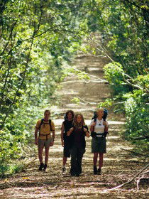 Wet Tropics Great Walk - Accommodation QLD 0