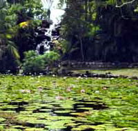 Queens Park Waterfall - Accommodation QLD