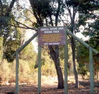 Carroll Nature Reserve Kokoda Track - Accommodation QLD