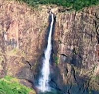 Buujan Quiinbiira Walk Wet Tropics Great Walk - Accommodation QLD
