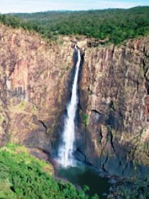 Buujan Quiinbiira Walk (Wet Tropics Great Walk) - Accommodation QLD 0