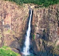 Gugigugi Butterfly Walk Wet Tropics Great Walk - Accommodation QLD