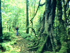 Clumber QLD Accommodation QLD