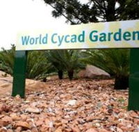 Anderson Park Botanic Gardens - Accommodation QLD