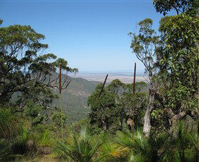Zamia Walk - Accommodation QLD 0