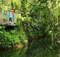 Djiru National Park - Accommodation QLD