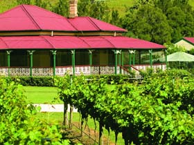 OReillys Canungra Valley Vineyards - Accommodation QLD 0