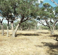 Forest Den National Park - Accommodation QLD